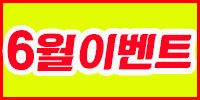 인트로