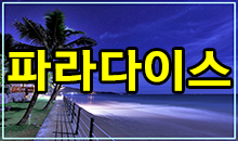 파라다이스