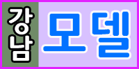 모델