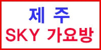 스카이가요방