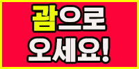 글로브